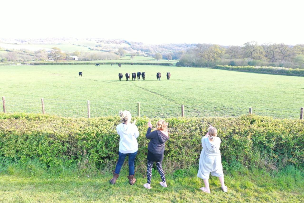 Casa vacanze The Victorian Barn, Self-catering Holidays With Pool And Hot Tubs, Dorset Woolland
