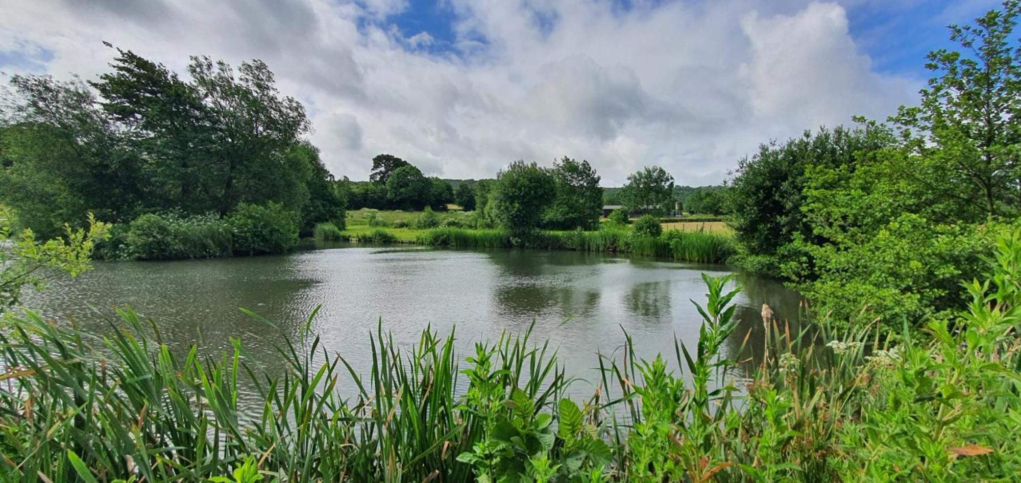 The Victorian Barn, Self-catering Holidays With Pool And Hot Tubs, Dorset Casa vacanze Woolland